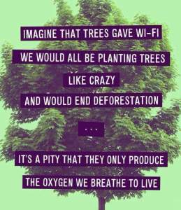 Imagine that trees